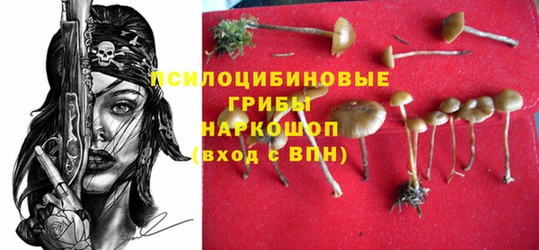 ГАЛЛЮЦИНОГЕННЫЕ ГРИБЫ Белокуриха