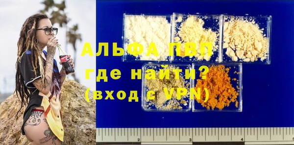 ГАЛЛЮЦИНОГЕННЫЕ ГРИБЫ Белокуриха