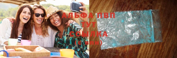 ГАЛЛЮЦИНОГЕННЫЕ ГРИБЫ Белокуриха