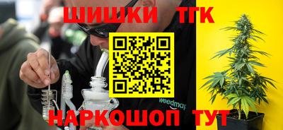 индика Беслан