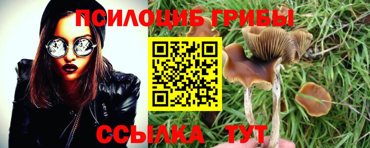Галлюциногенные грибы Cubensis Вятские Поляны