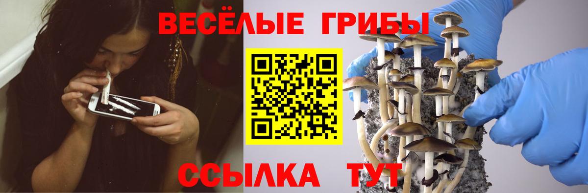 Псилоцибиновые грибы GOLDEN TEACHER Вятские Поляны